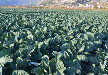 Agro neretva d.o.o.