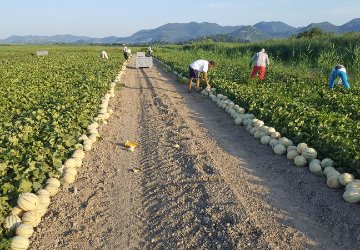 Agro neretva d.o.o.