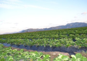 Agro neretva d.o.o.